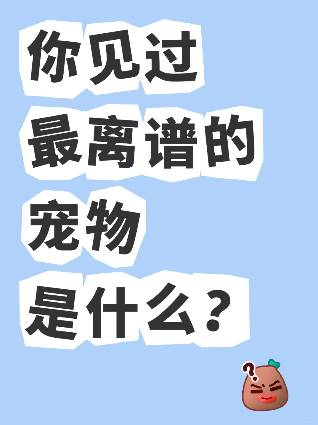 ׵ĳʲô???