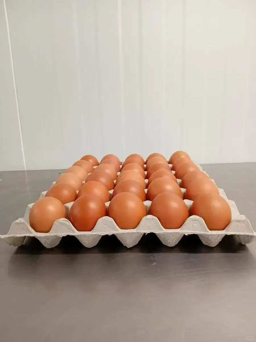 ɢ