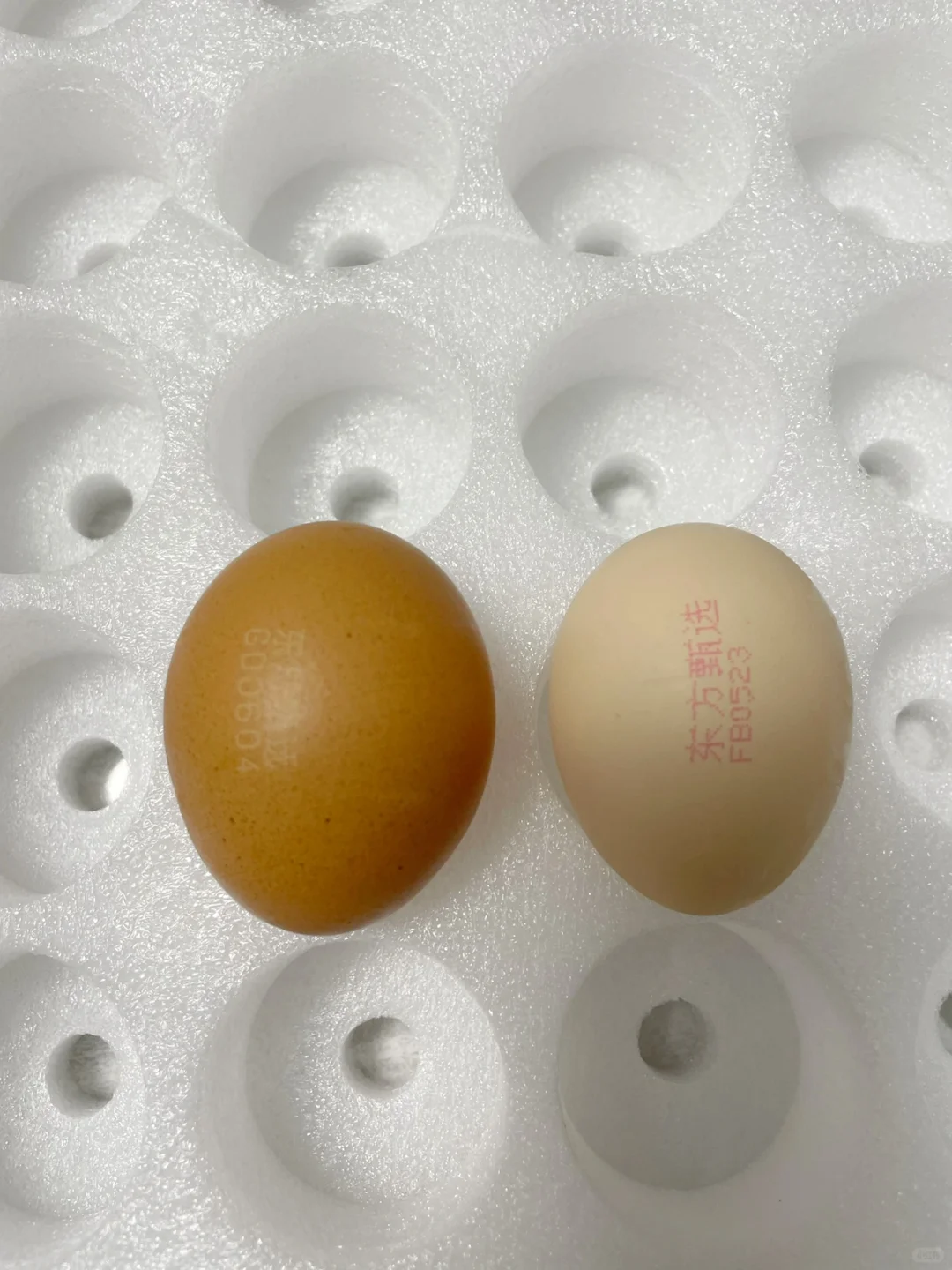Ӫ뼦