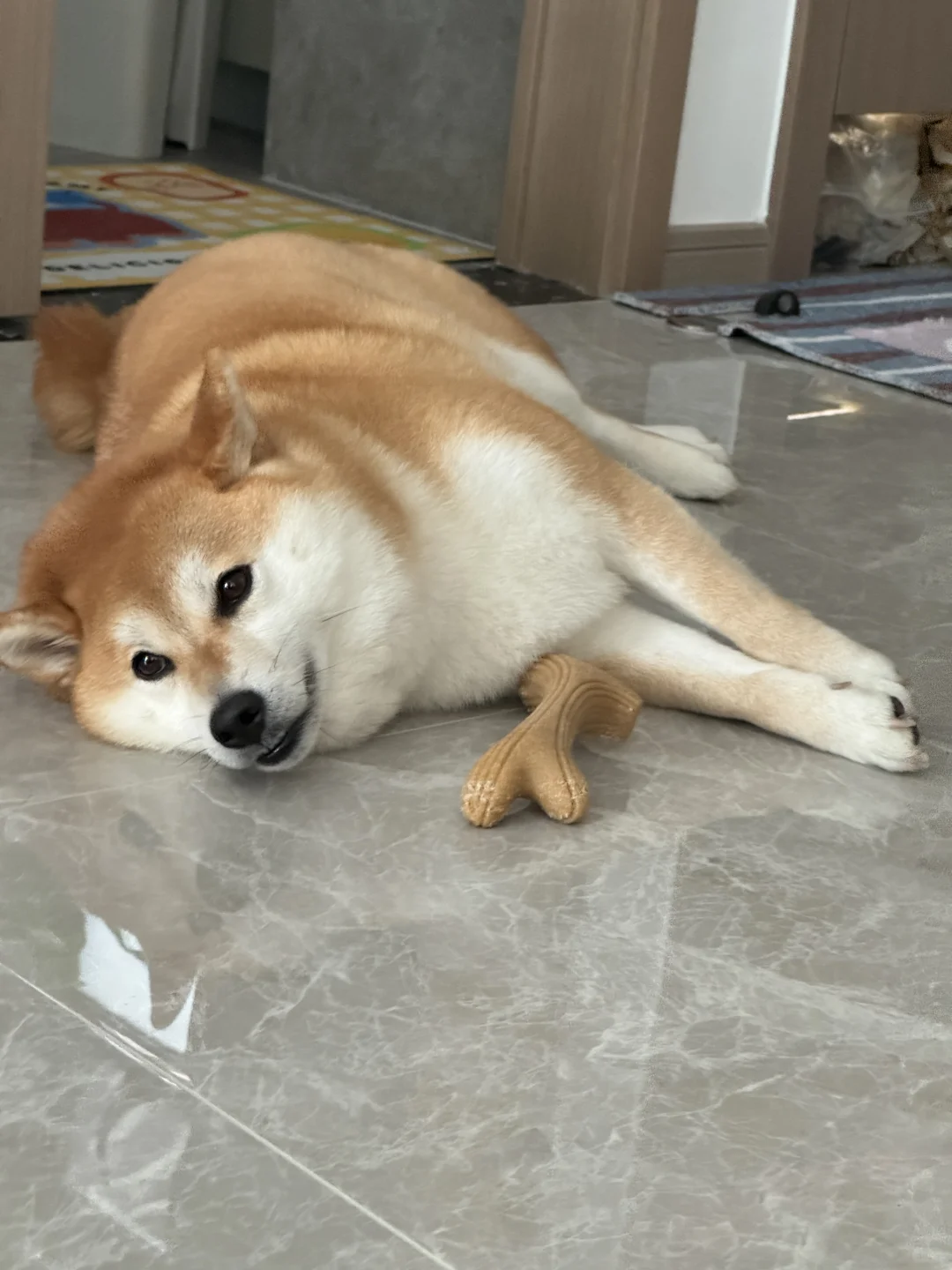۶ٰ