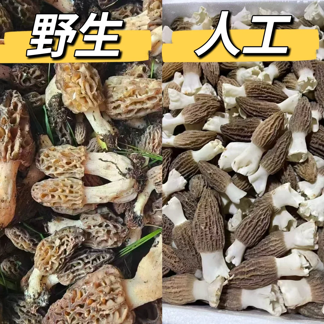 ҰǾVS˹ǾǮ