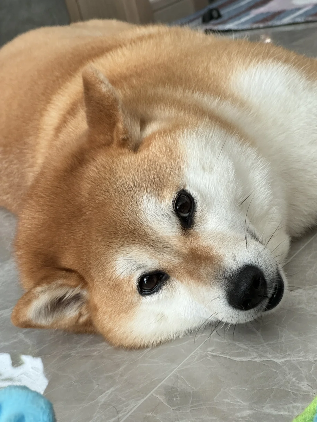 ۶ٰ