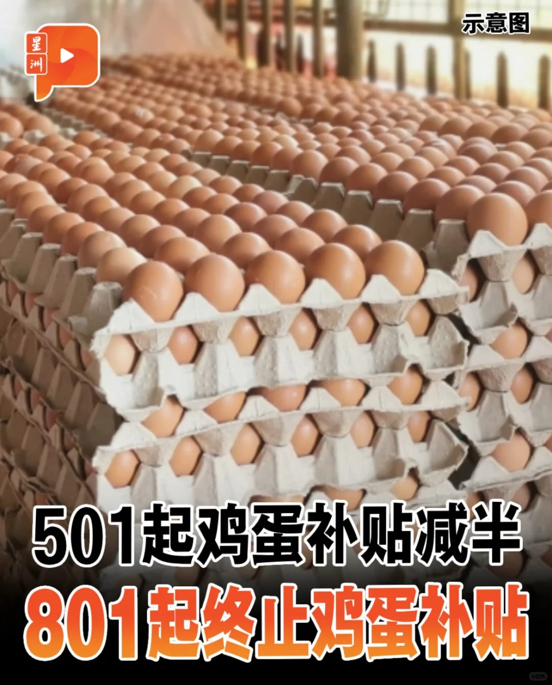 明天开始鸡蛋起价了!