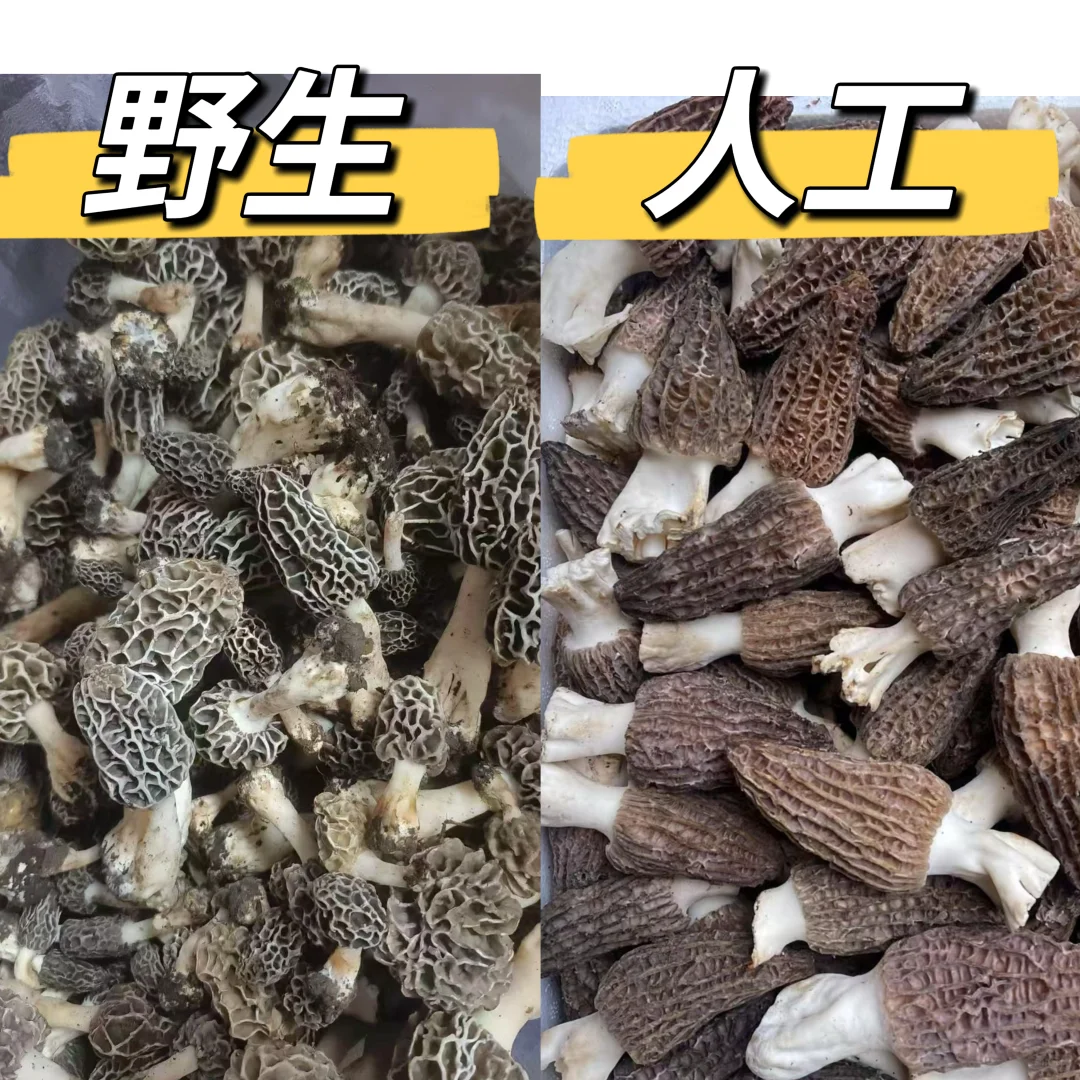ҰǾVS˹ǾǮ