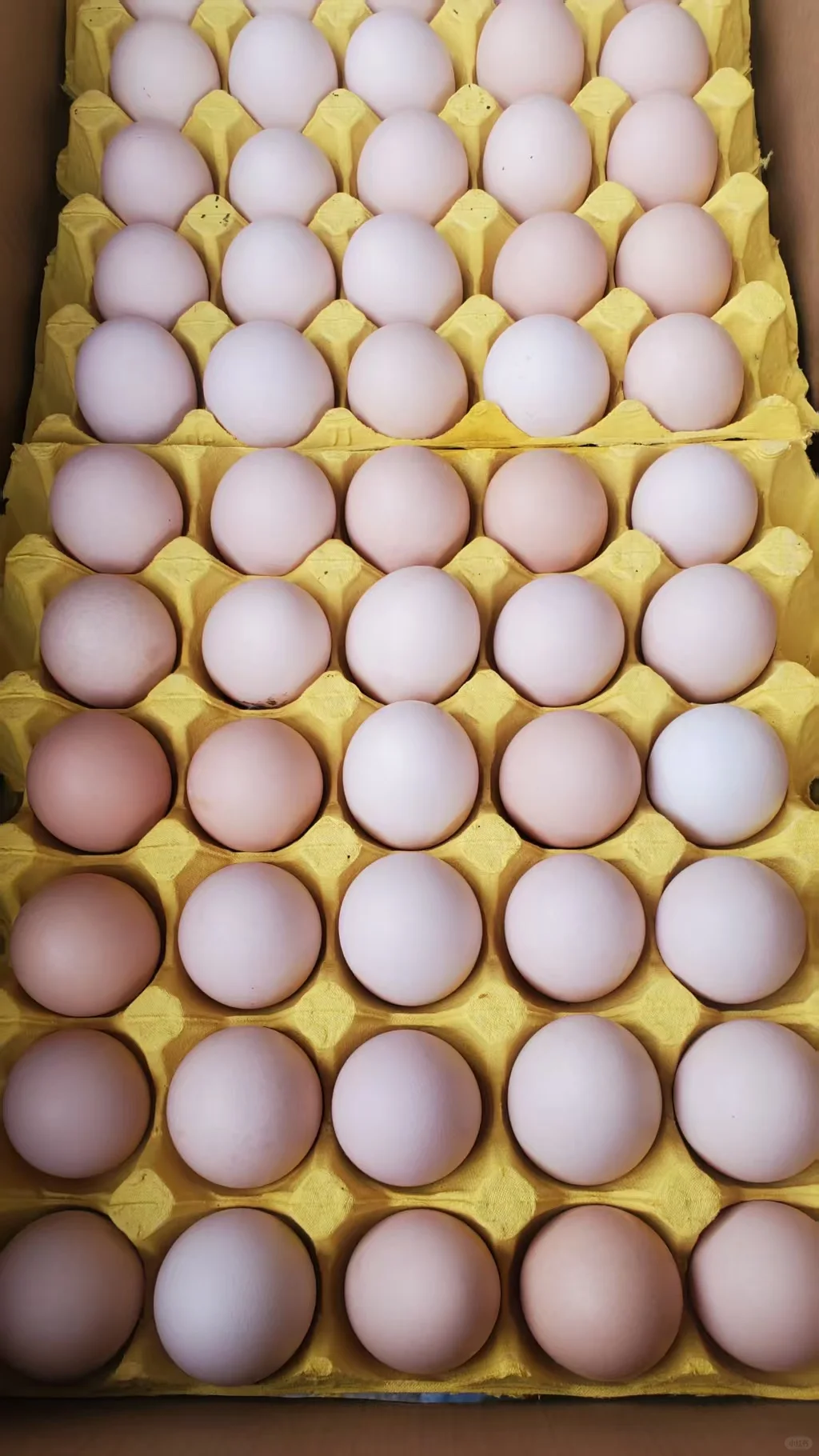 ҵһʺϱļ