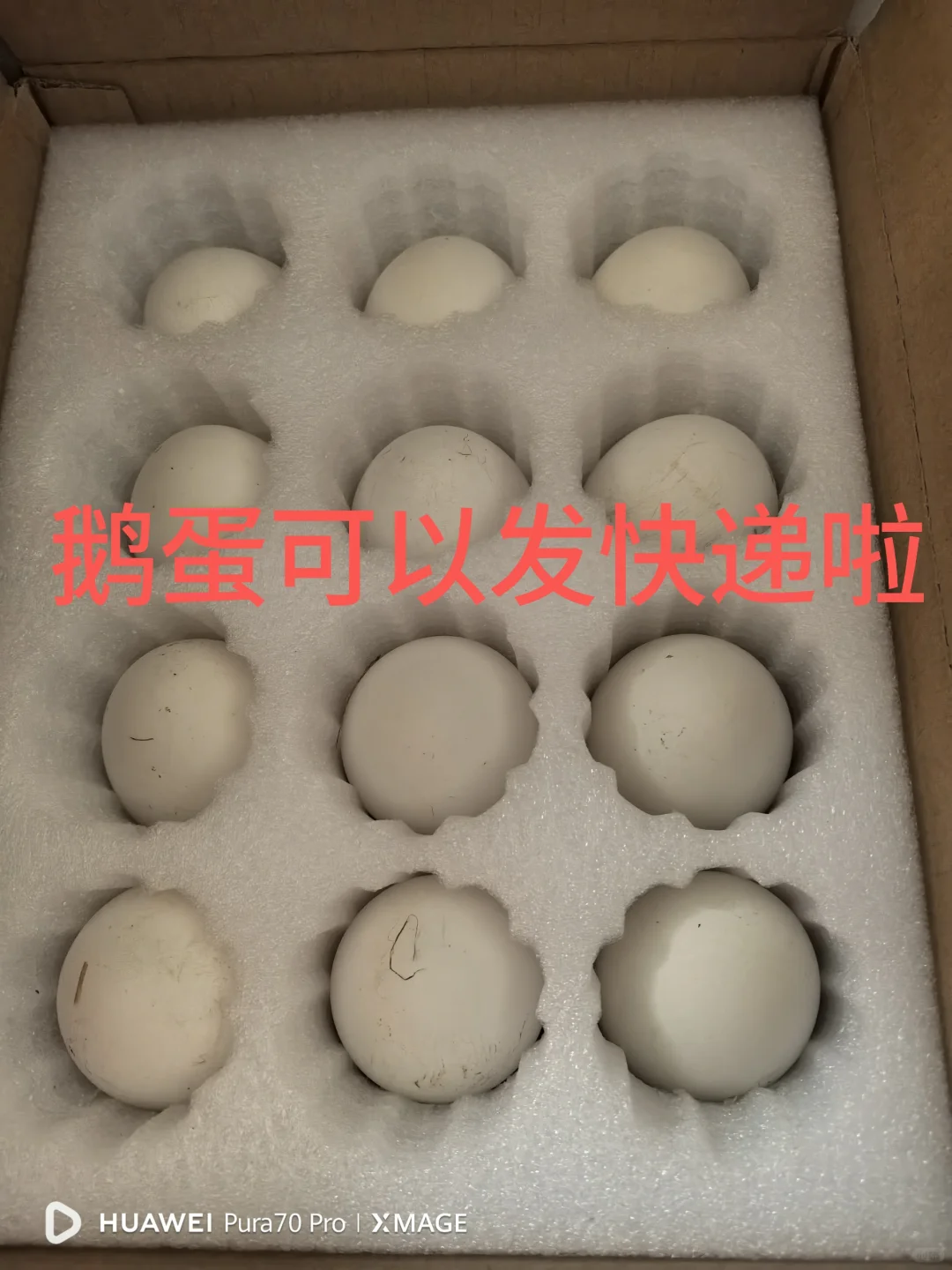 Щ2ǮĶ쵰