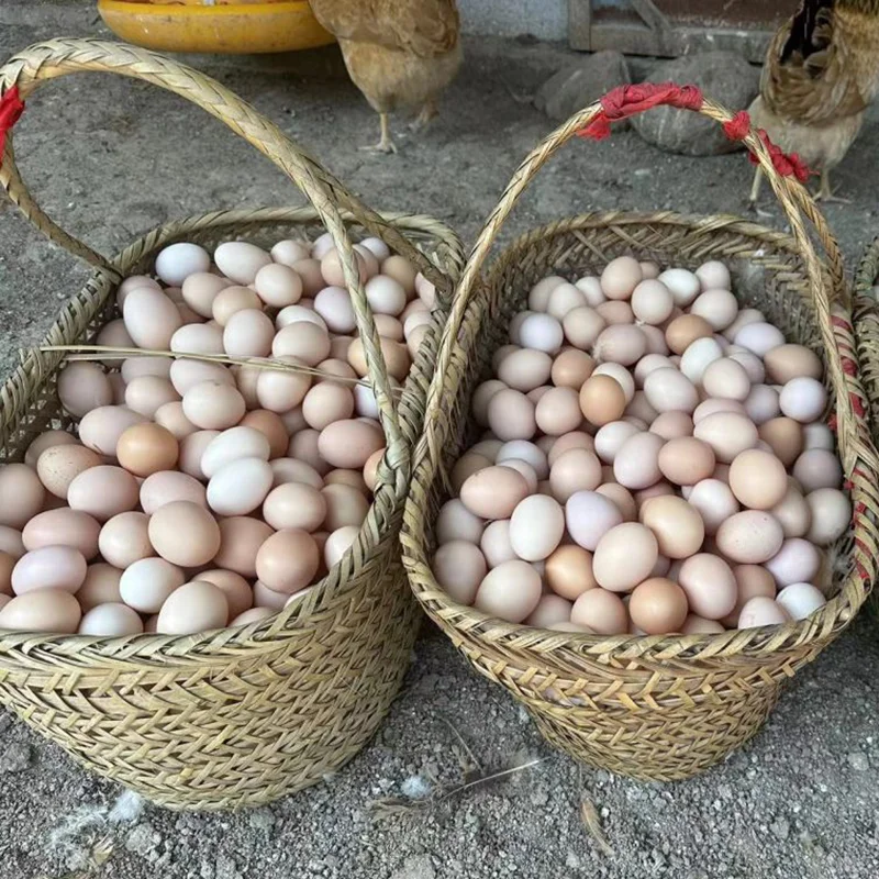 ??رȫ40ö?