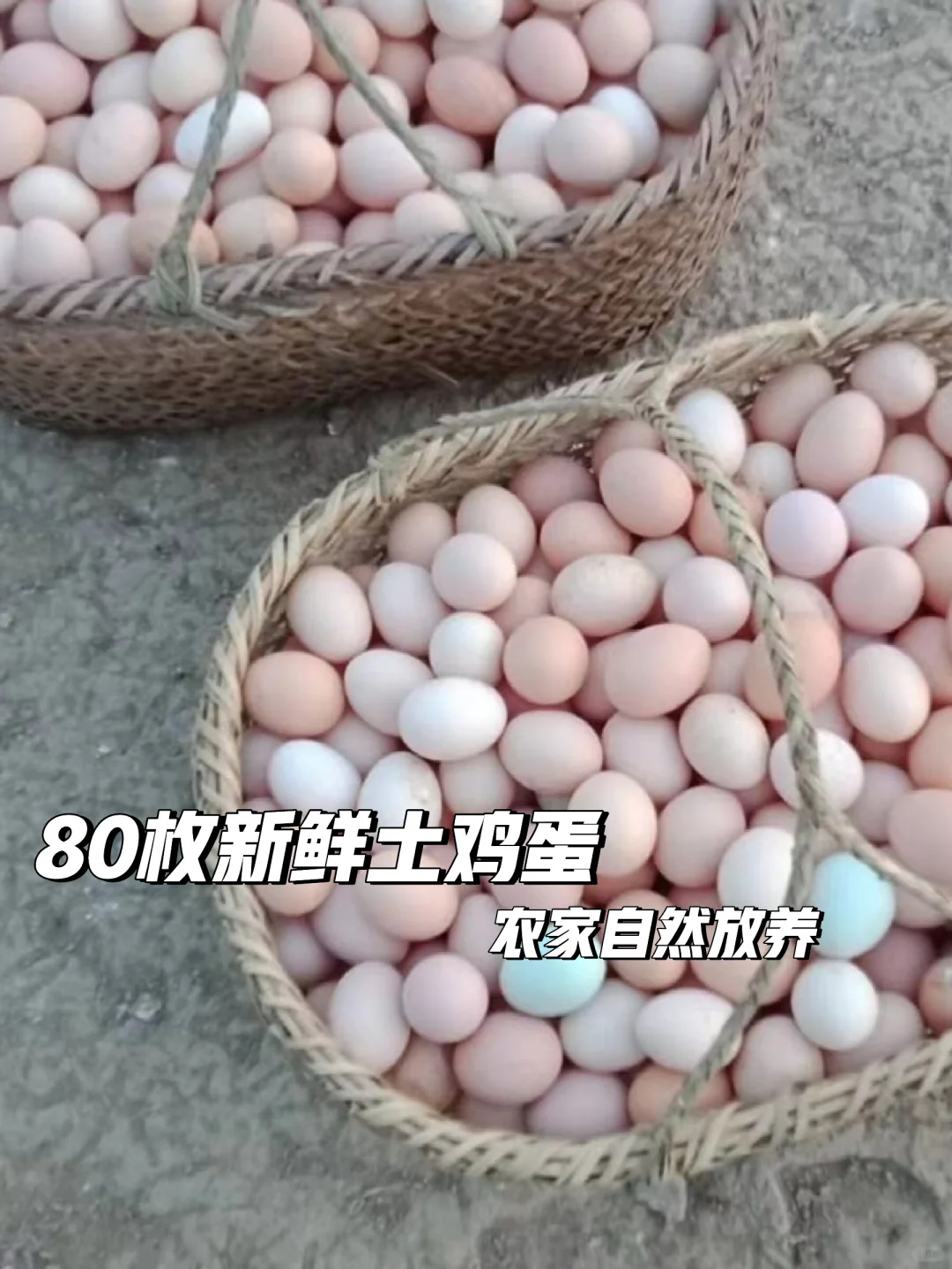 新鲜土鸡蛋?180天低价?