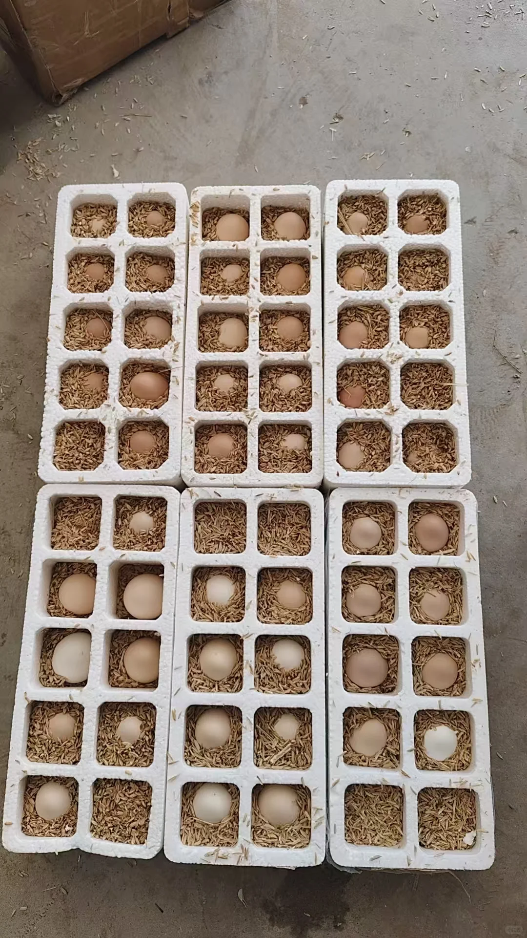 ?0.01