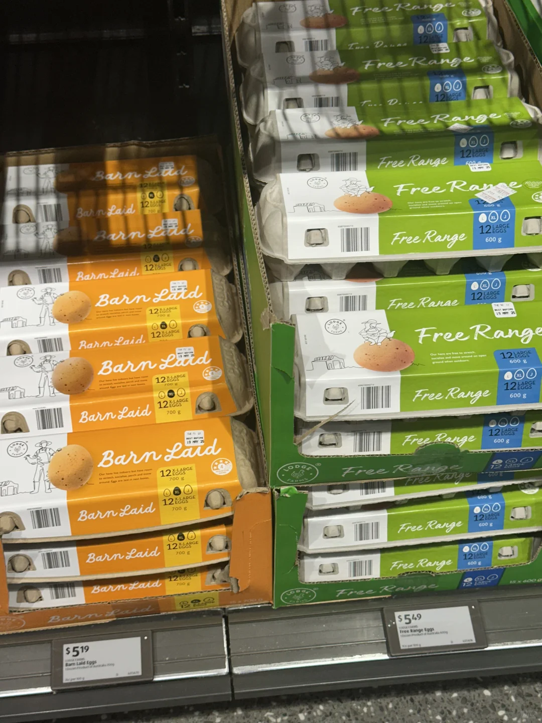 ȫ˵ļ