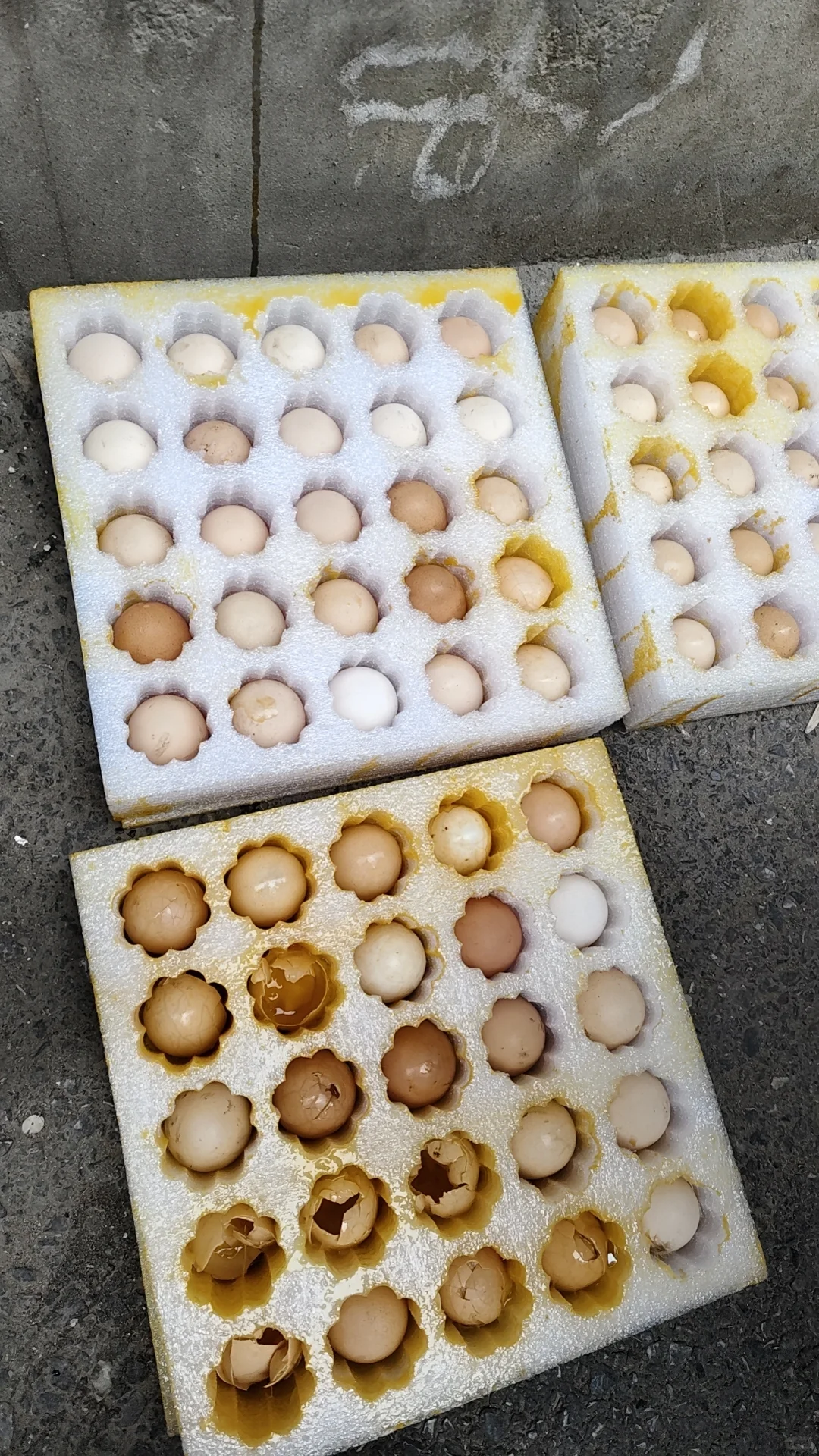 Բͨ