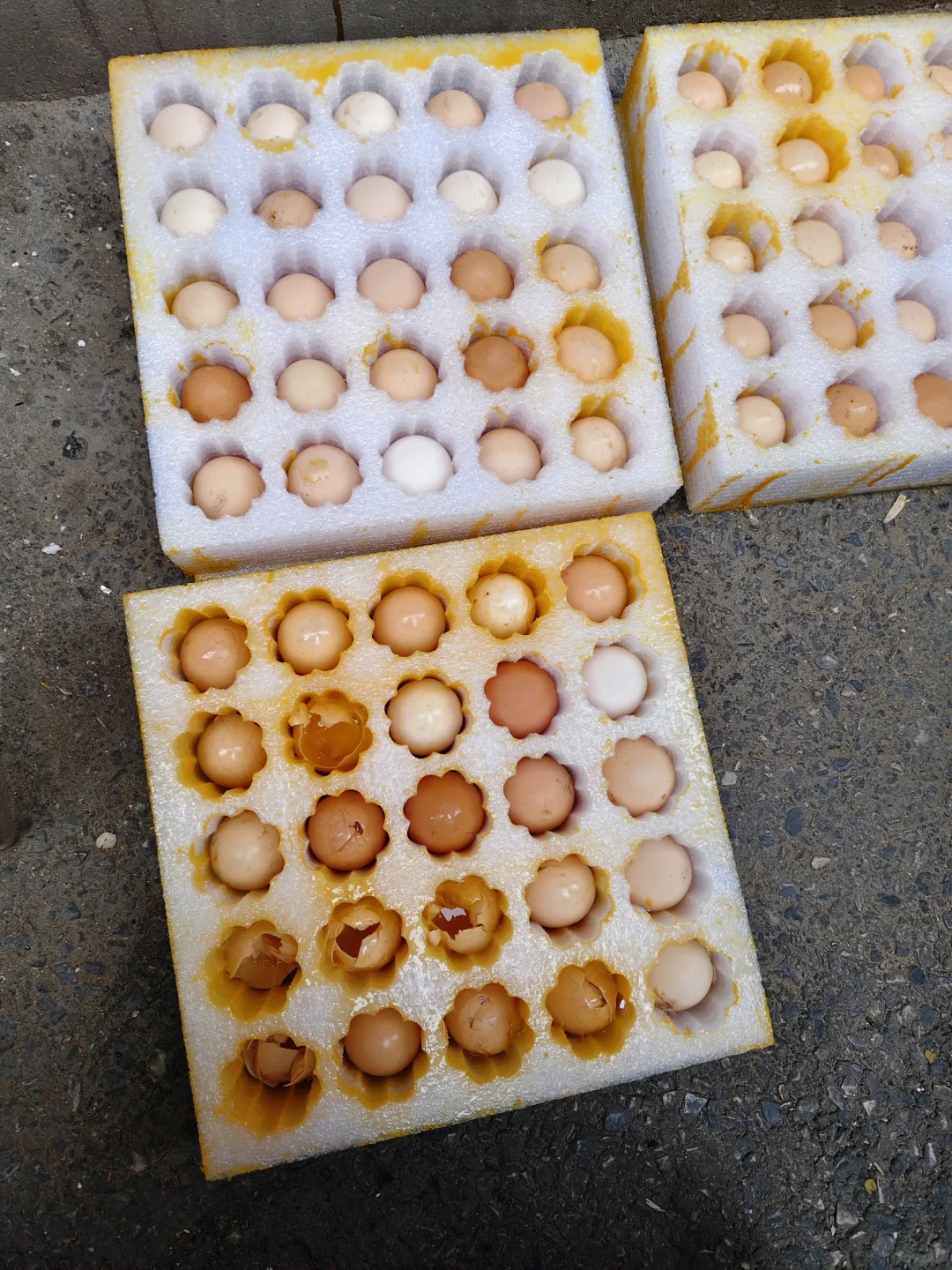 Բͨ