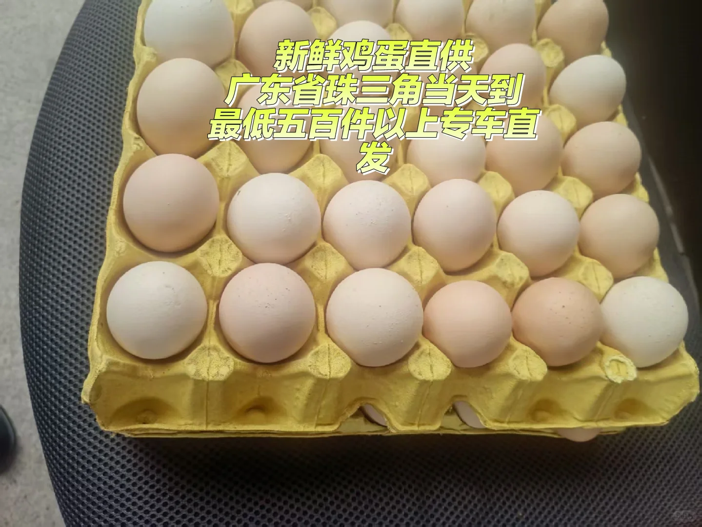 ʼֱ۸㡿