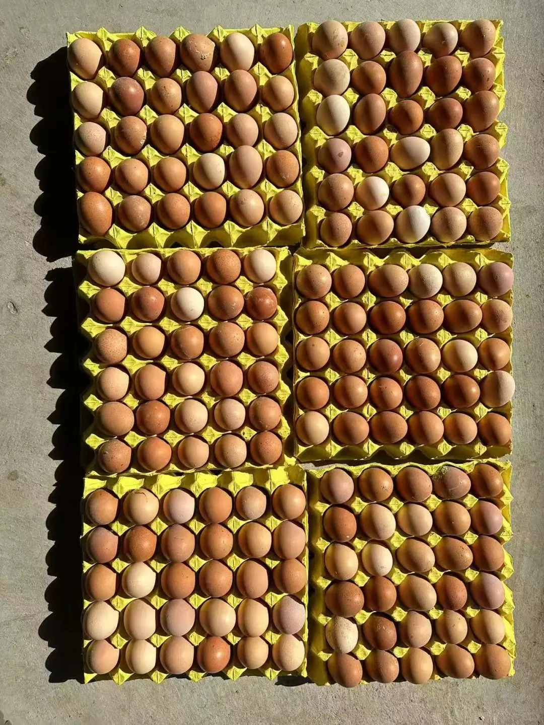 Դͷ
