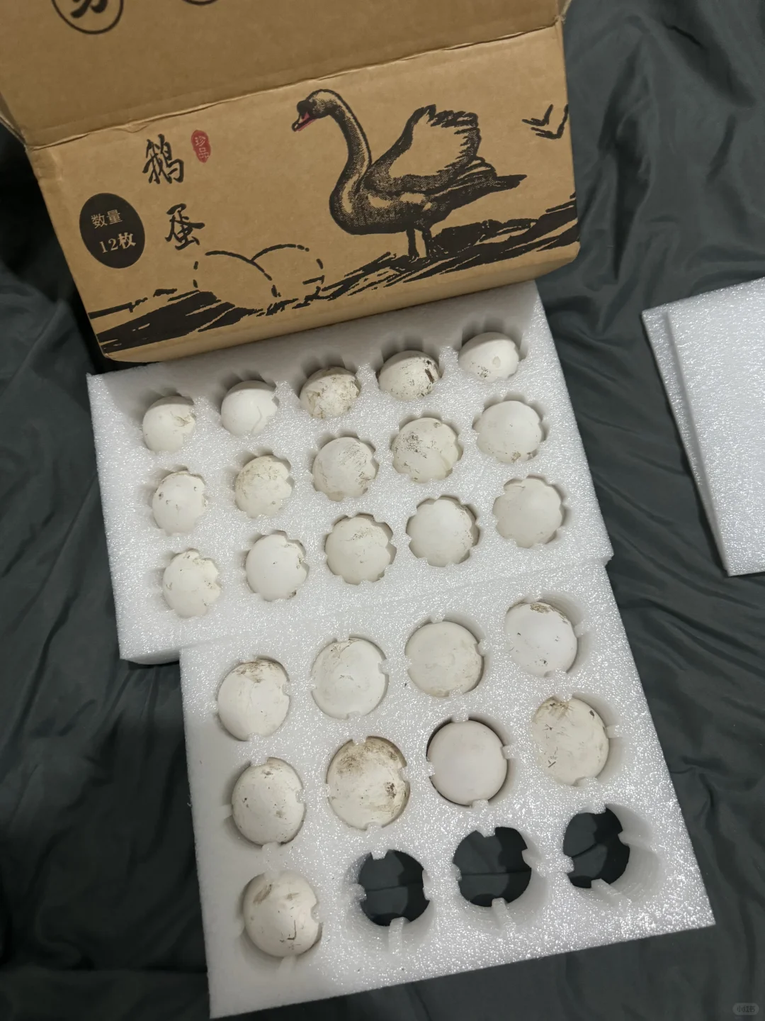 我爸让我卖鹅蛋?5元一个 有人要吗