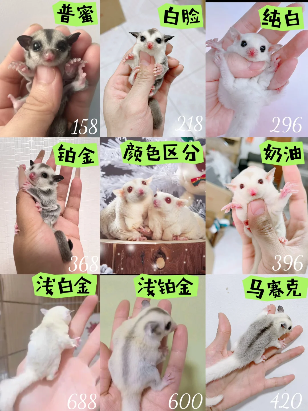 ۴̼۸
