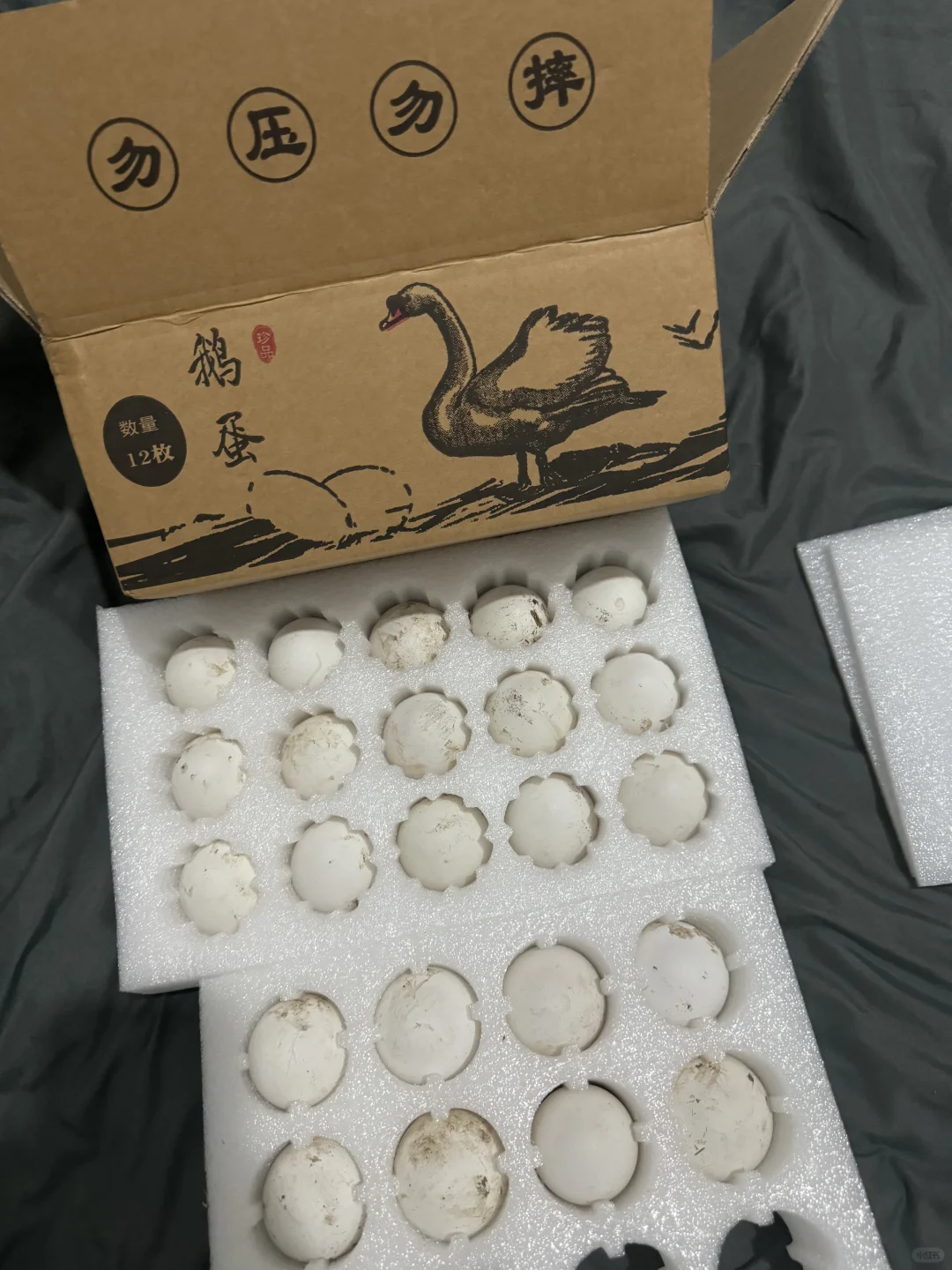 我爸让我卖鹅蛋?5元一个 有人要吗