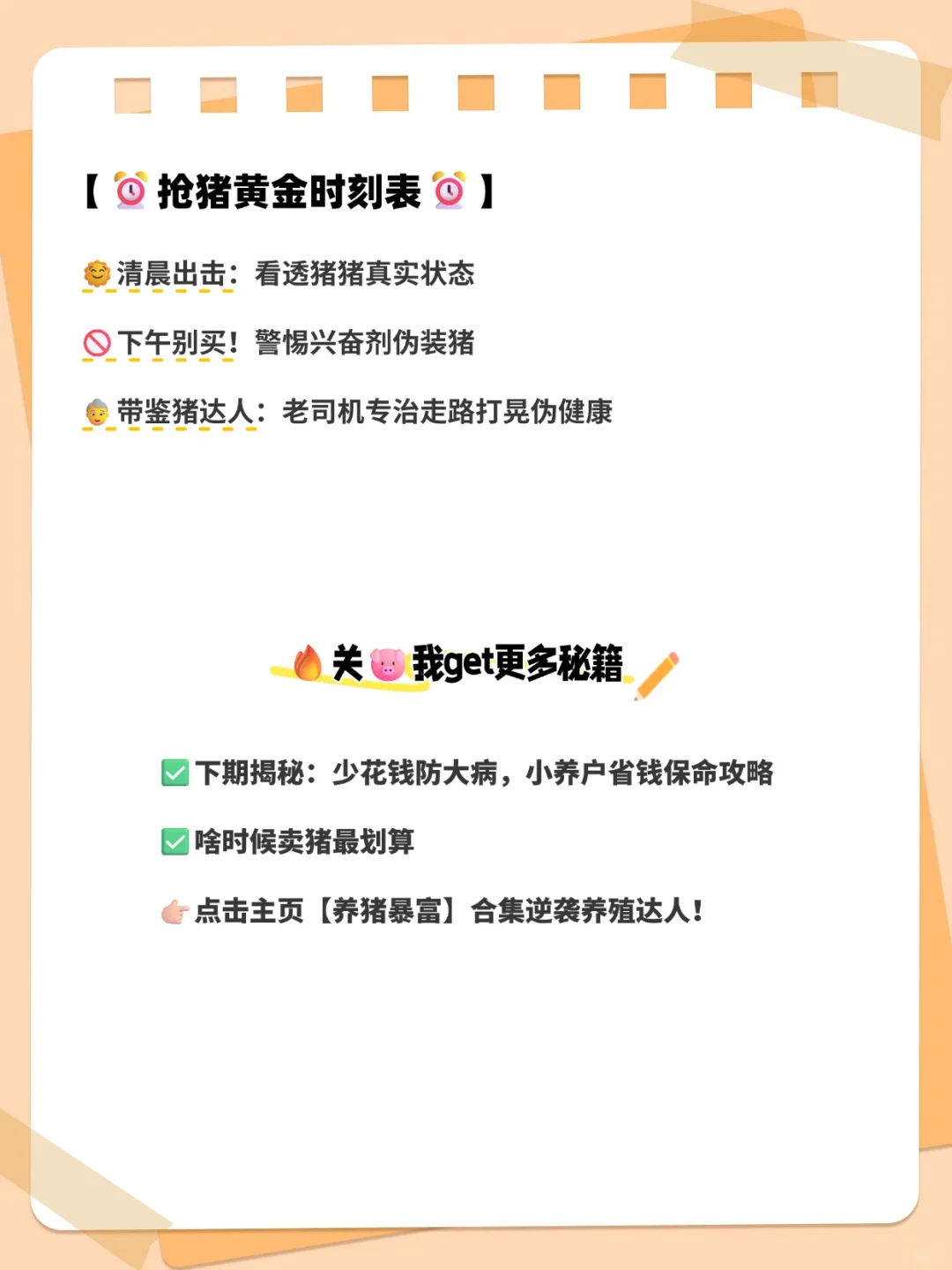 手把手教你挑选健康仔猪