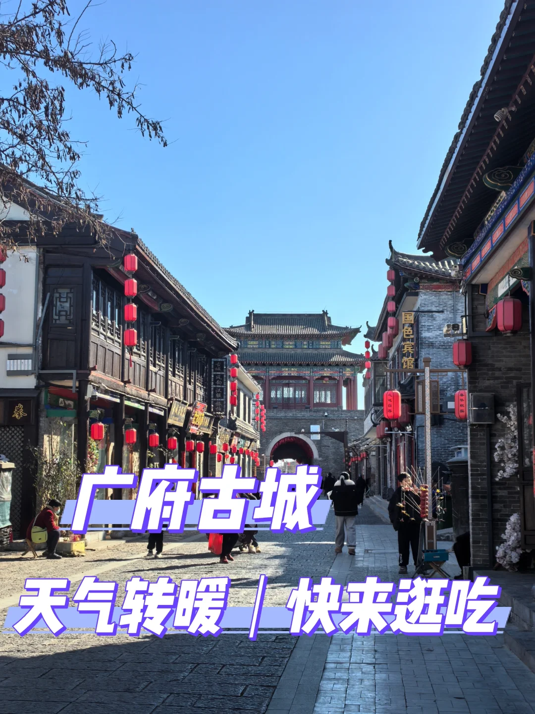 ϺܱΡ㸮ųǡԹ