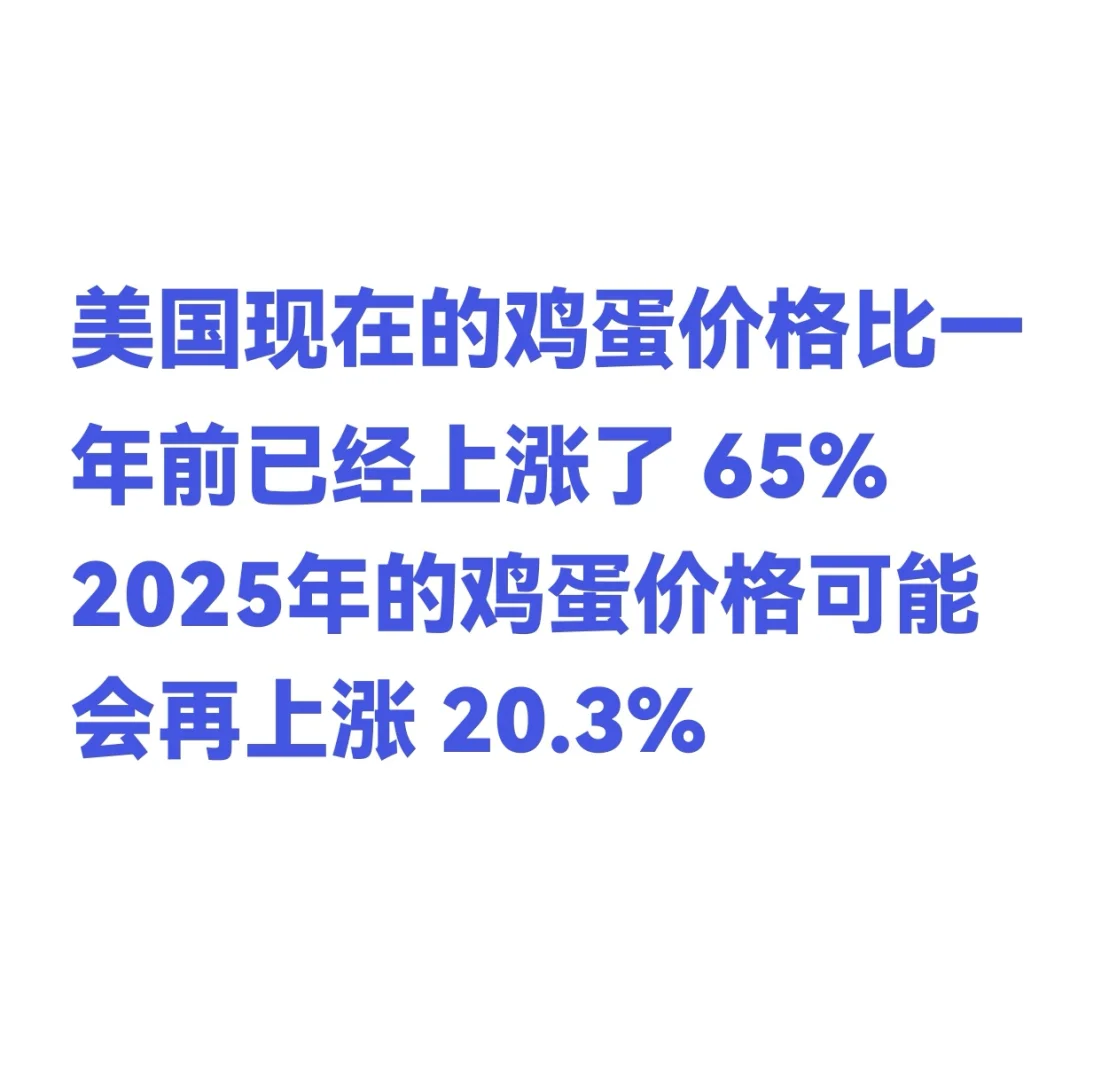 2025꼦۸ 20.3%