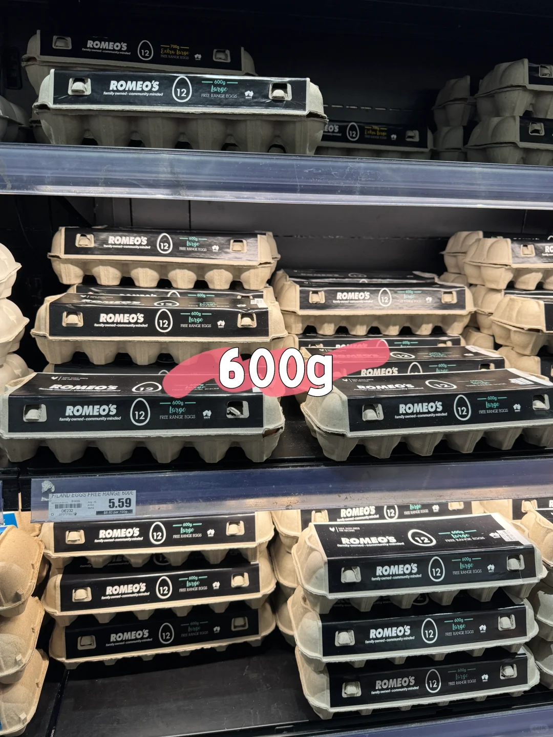£ļ5