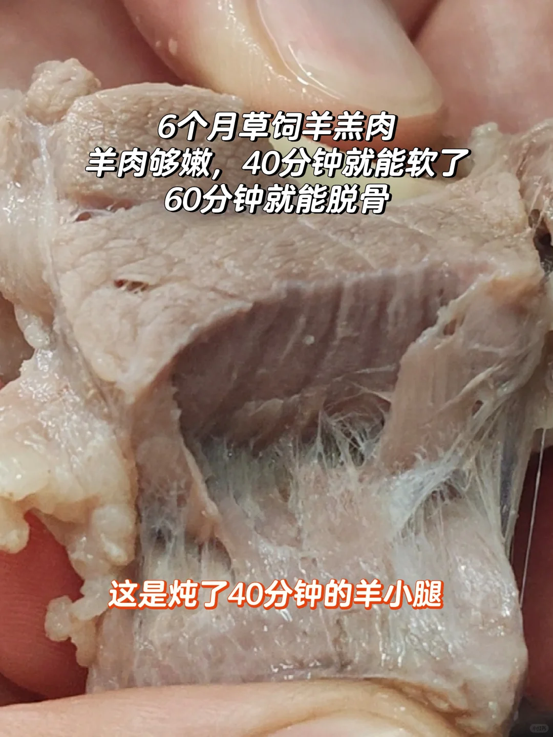 γ̲9Ʒʣ۸36Ԫһ