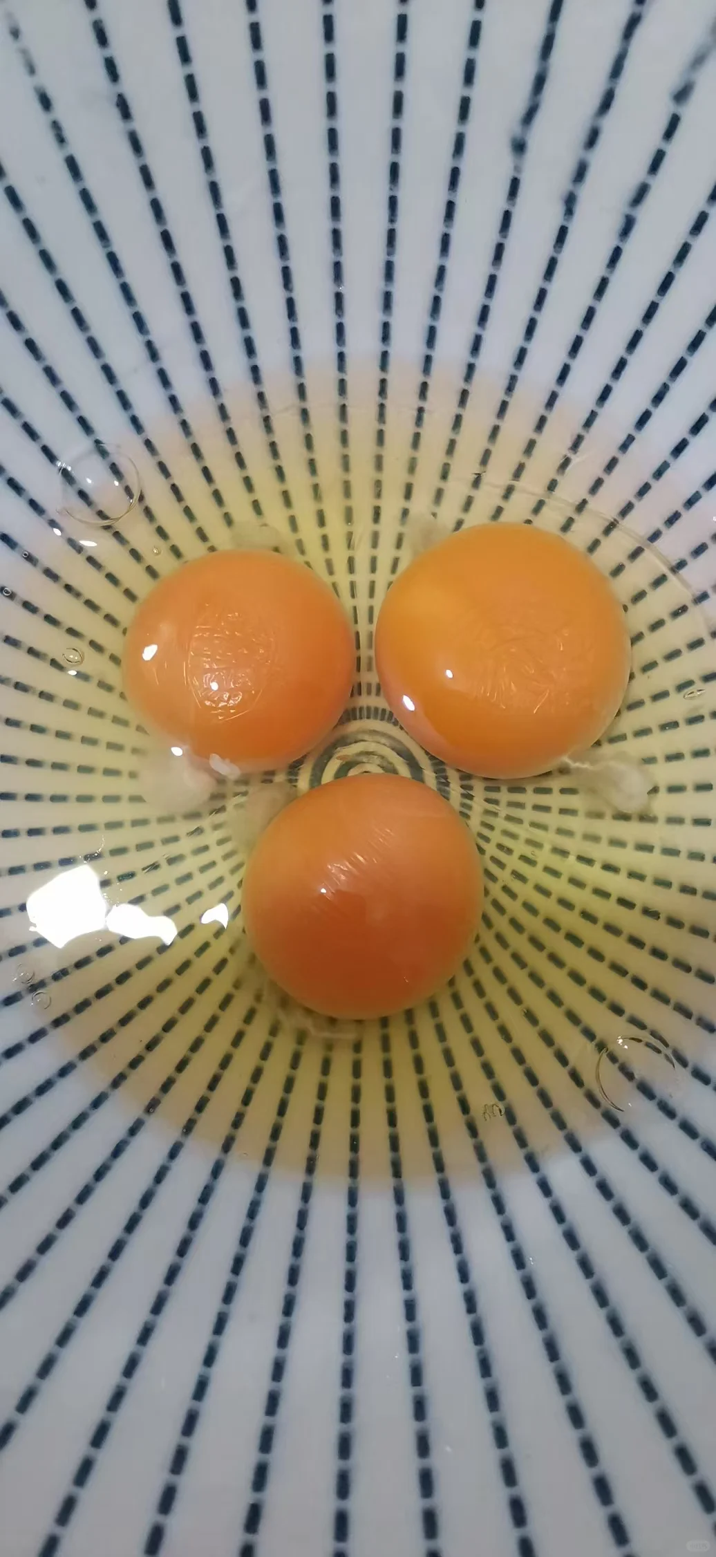 ؼŹ