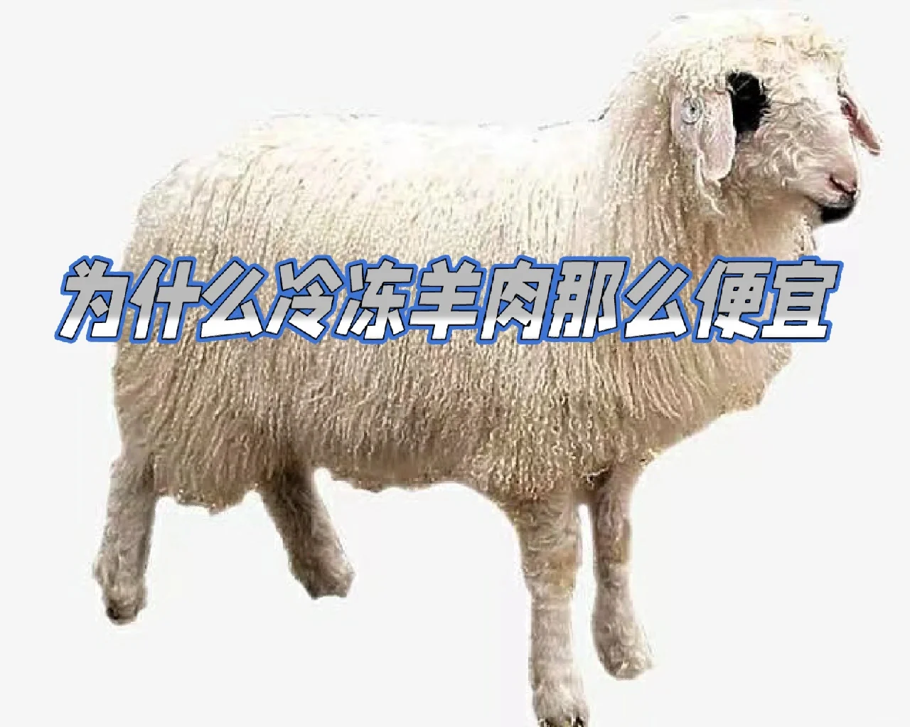 Ϊʲô䶳ôˣ