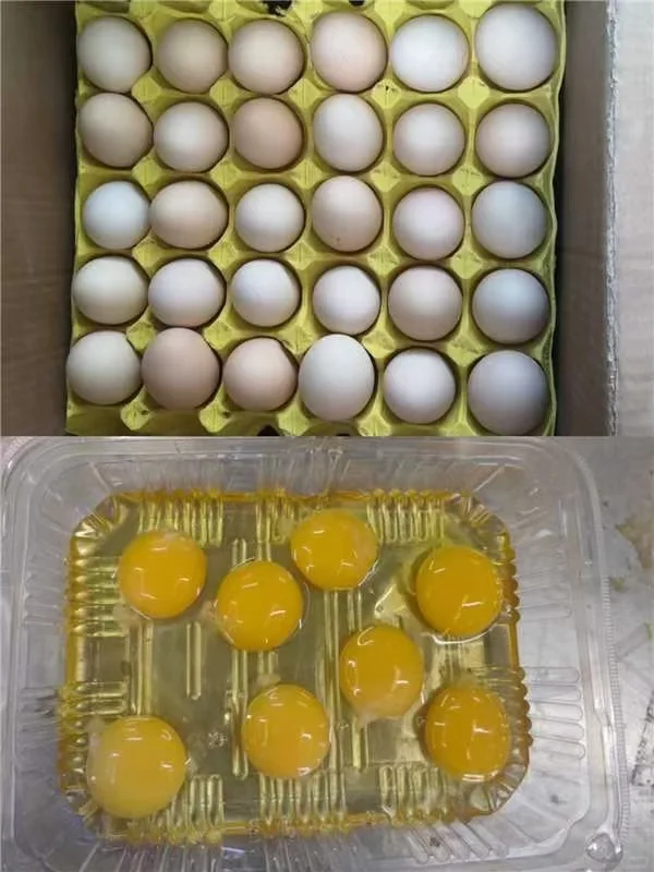 ؼŹ