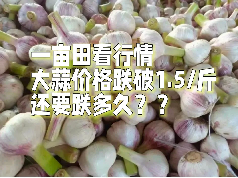 һĶϿ۸1.5Ԫ/