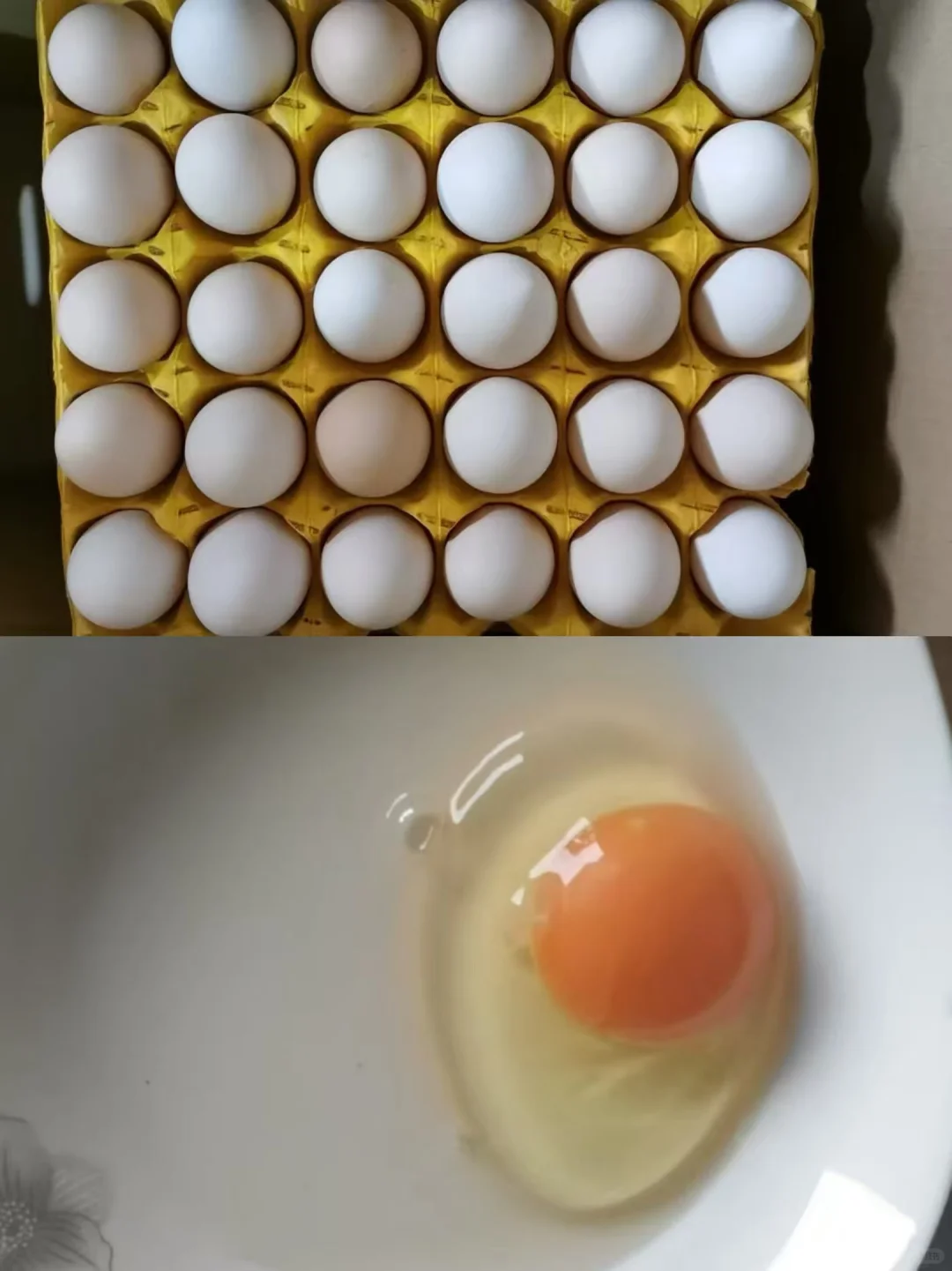 ؼŹ