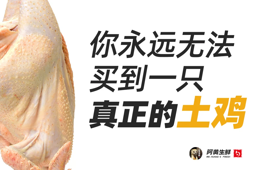 Զ޷һֻ
