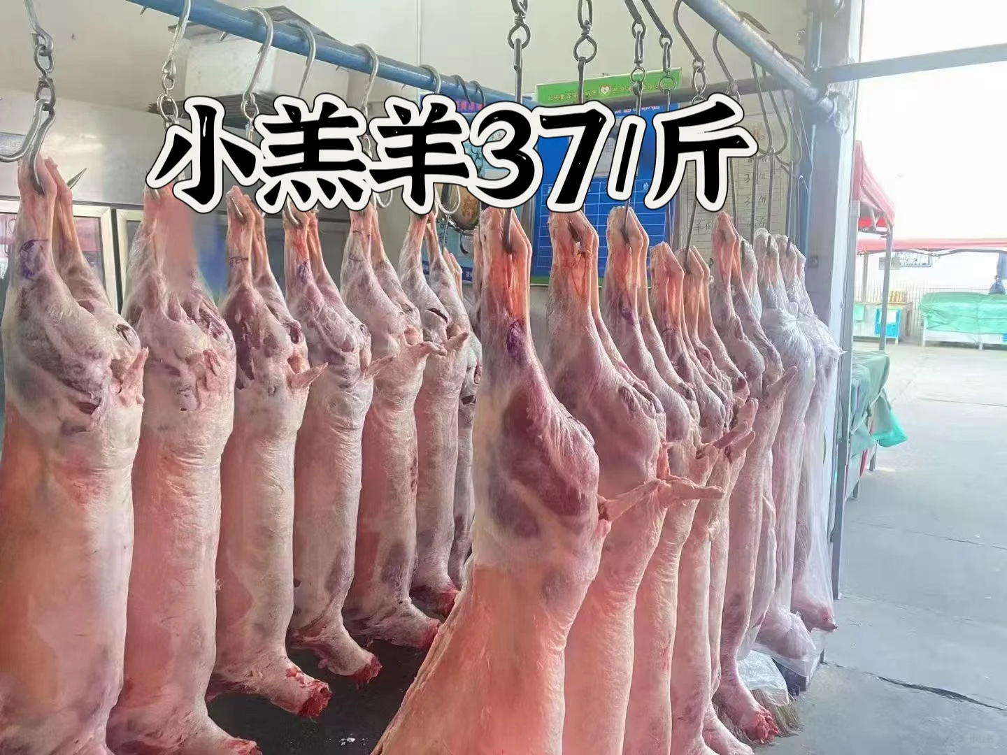 С37һıص