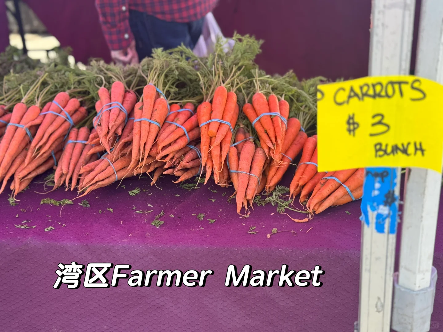?????? vs ¸绪 ߹۸Աȣ