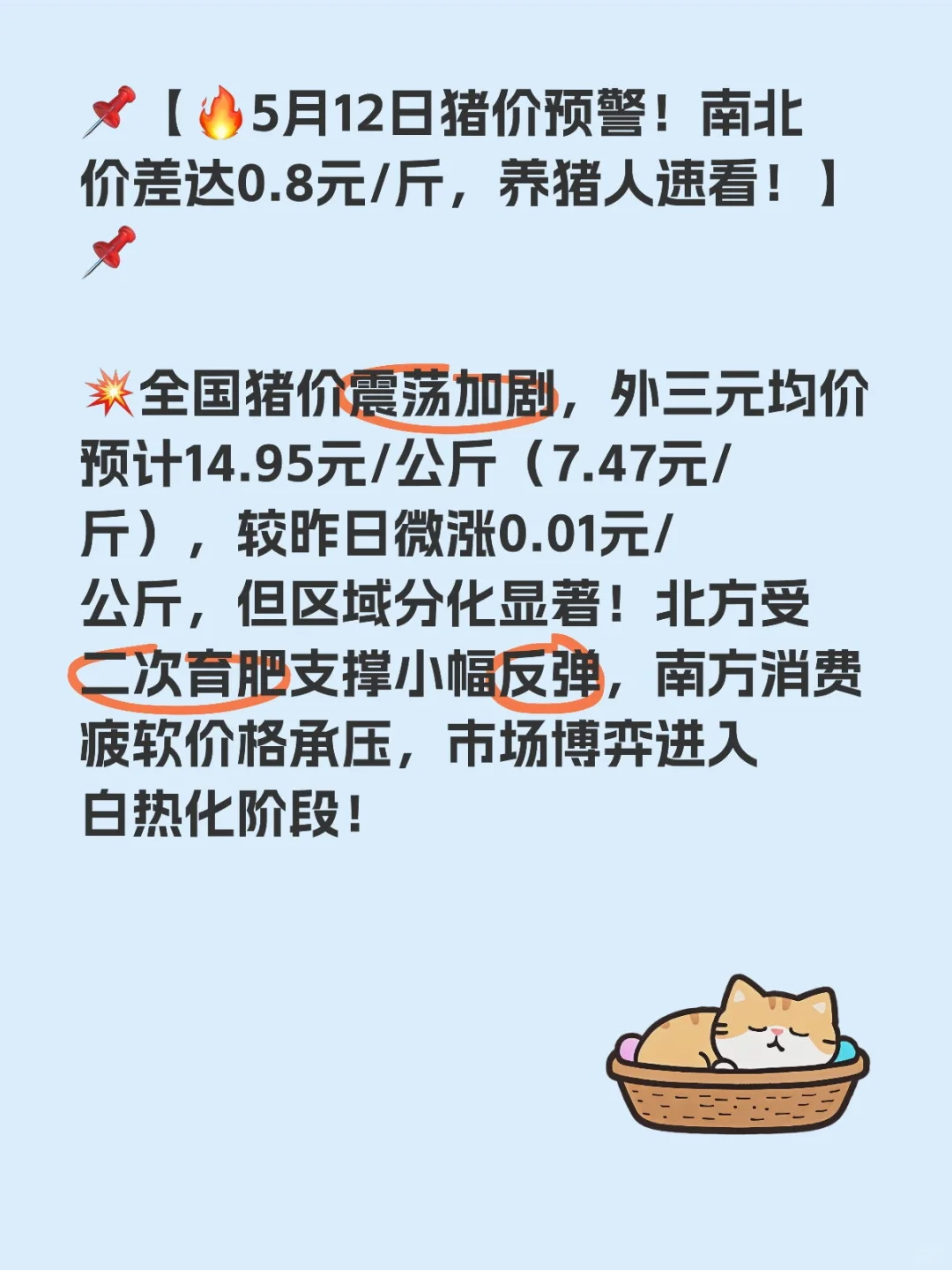 ?512Ԥϱ۲0.8Ԫ/