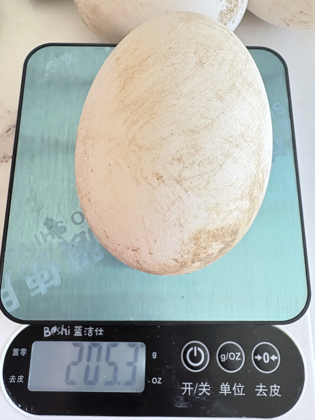 û쵰