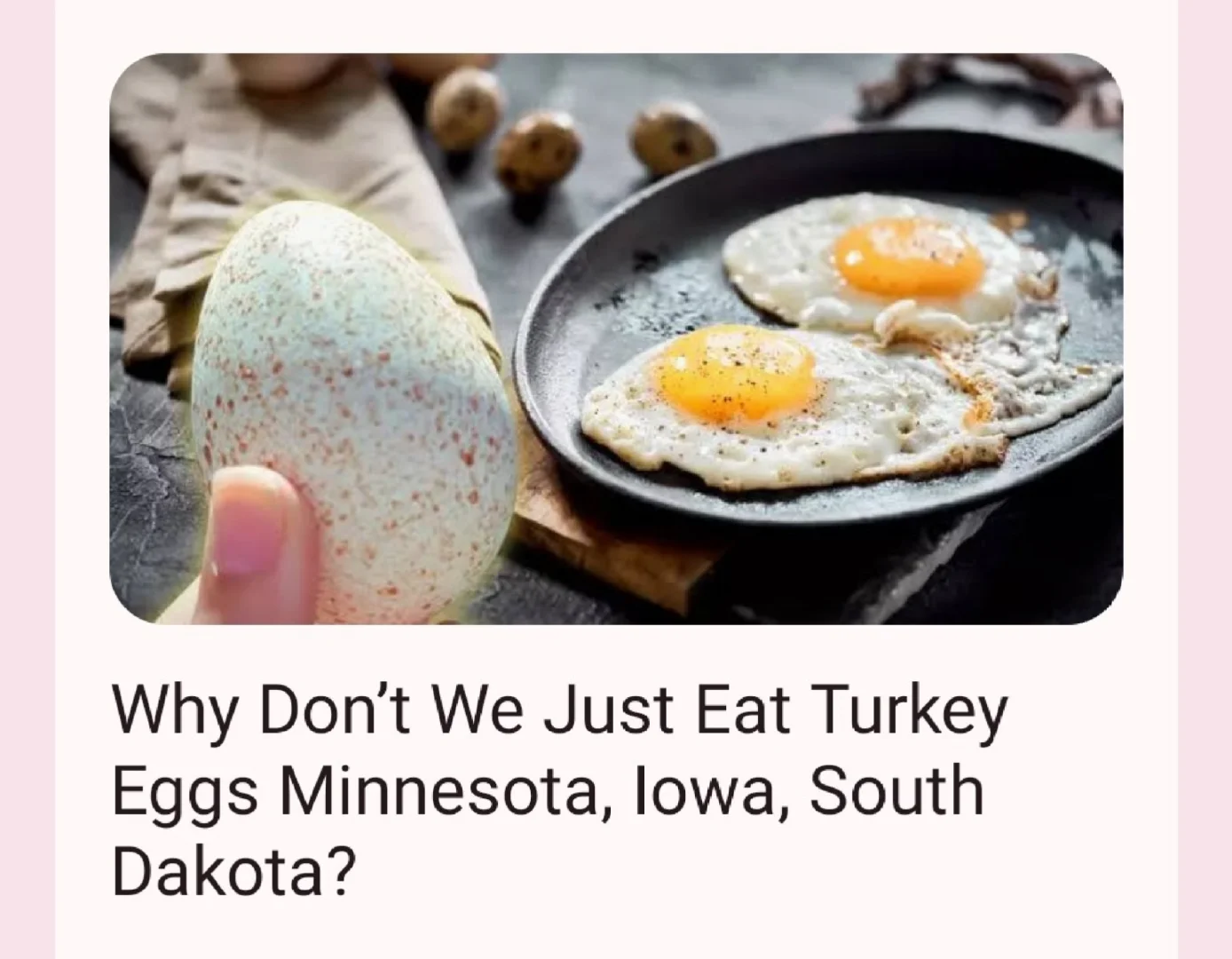 Why don't we eat Turkey eggs ??