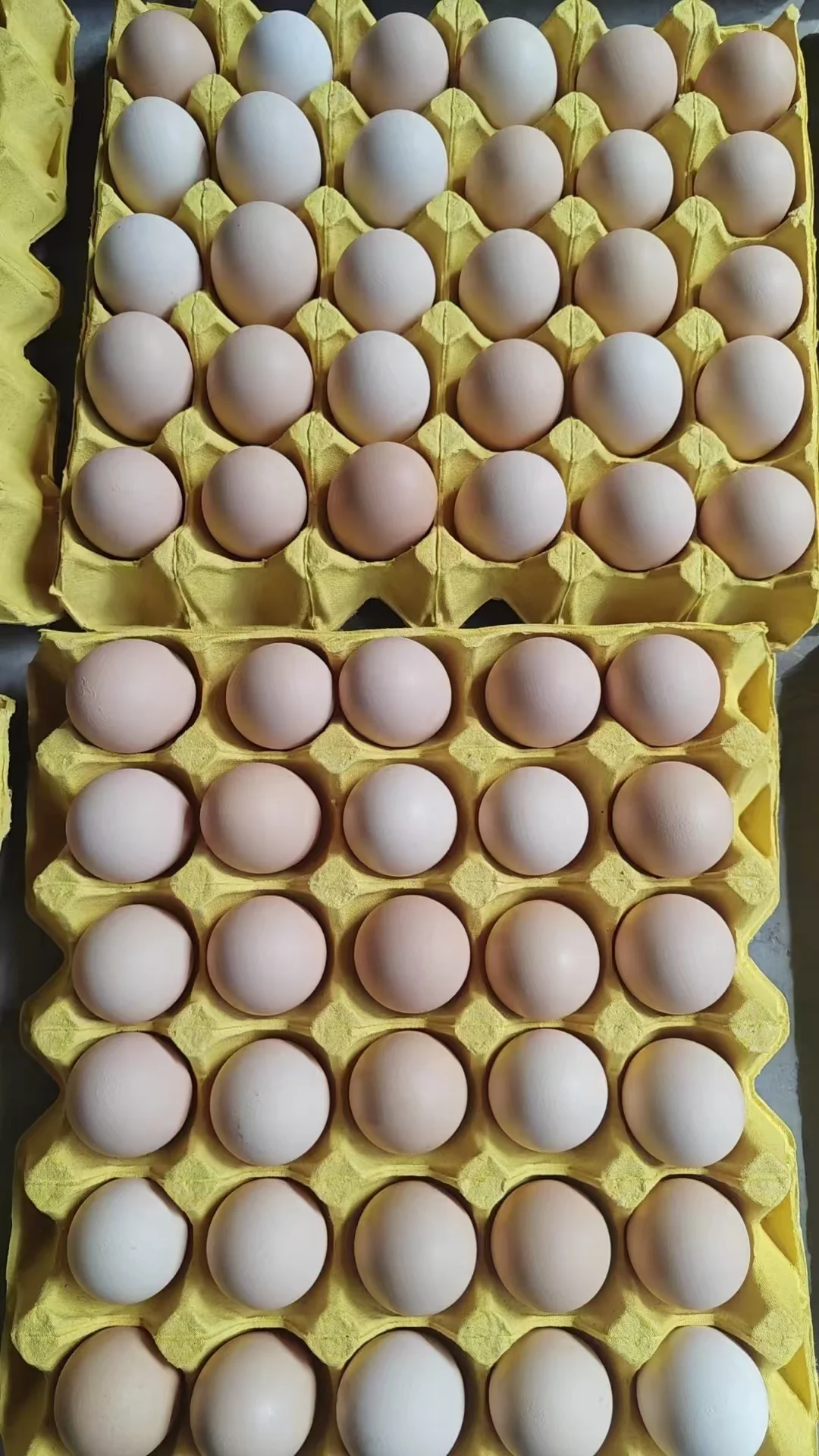 Ӧ Դͷ