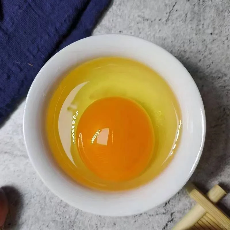 1ö1Ǯҳ