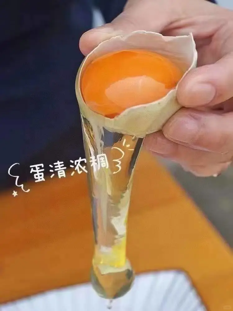 1ö1Ǯҳ