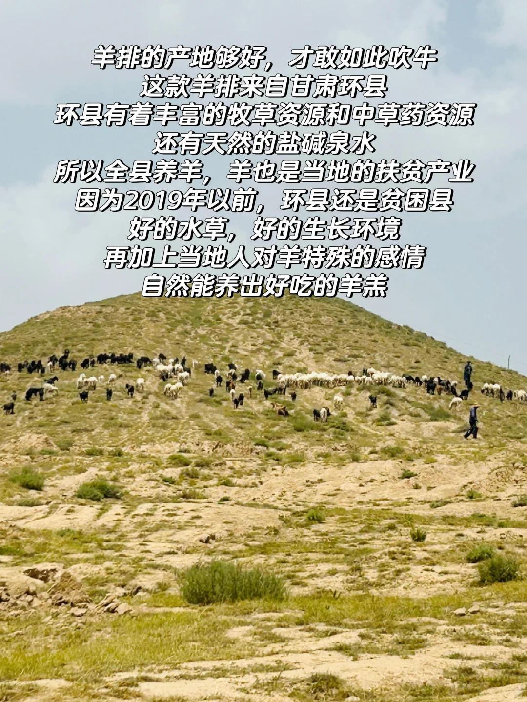 һ۳1600൥ȫǺķʽ