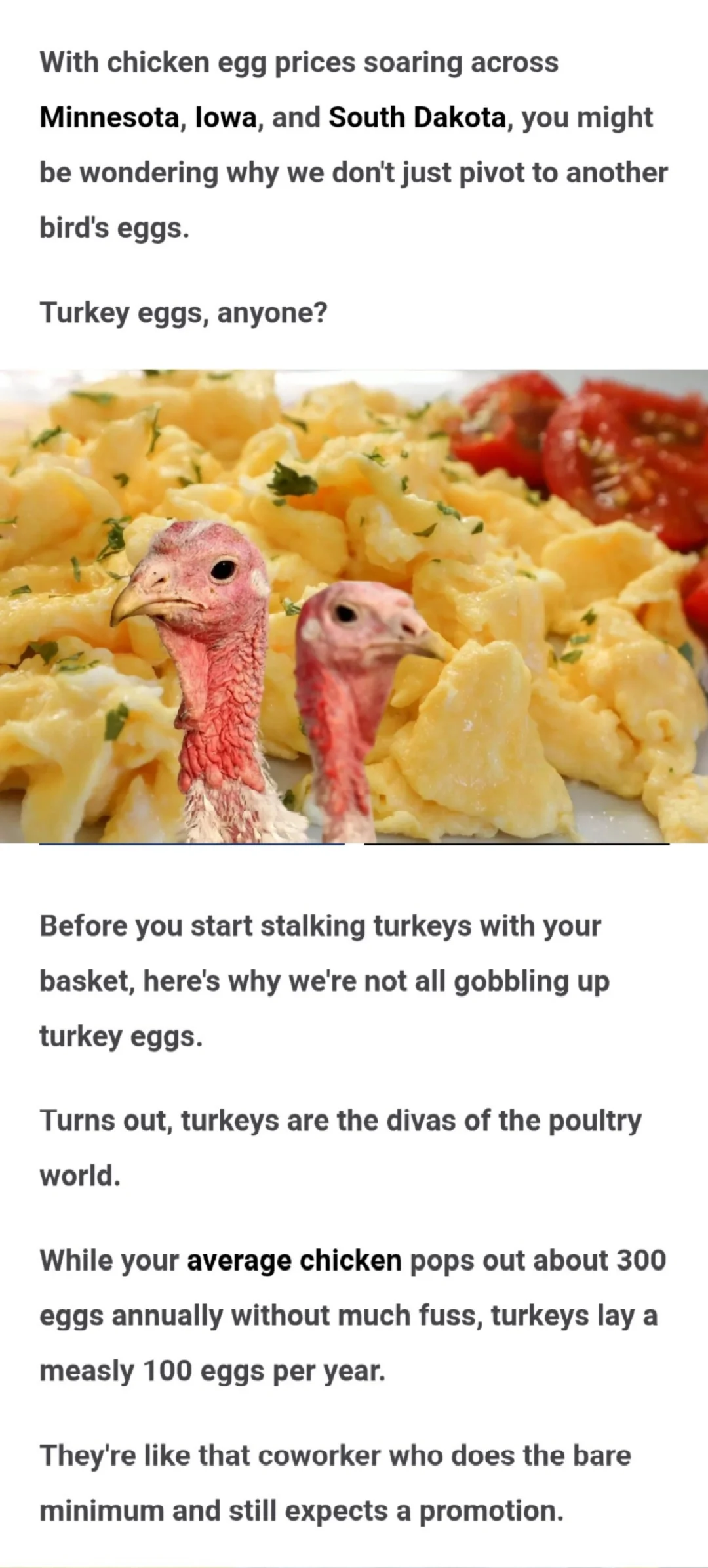 Why don't we eat Turkey eggs ??