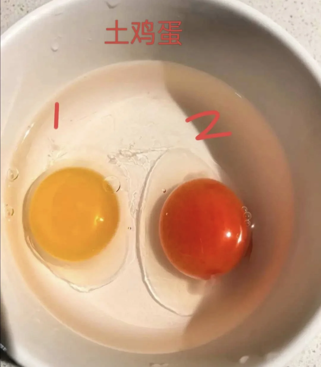 ôɫļ