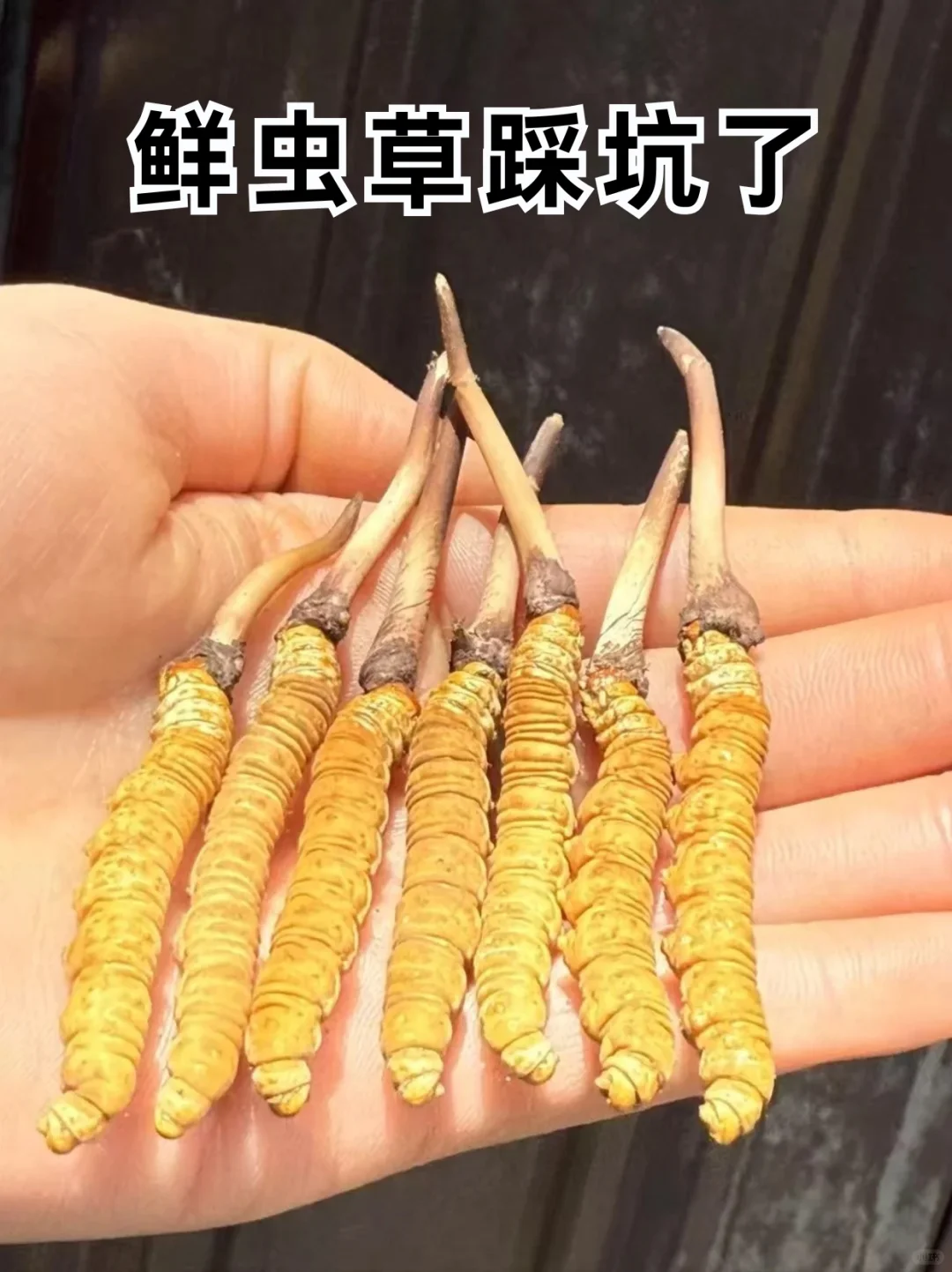 Ȱ20ʳݵ??