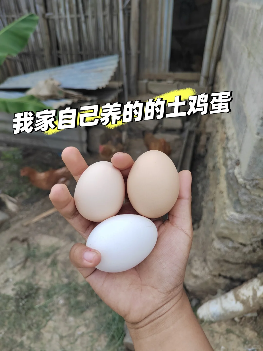 土鸡蛋卖29.9元50个顺丰包邮,怎么做到的