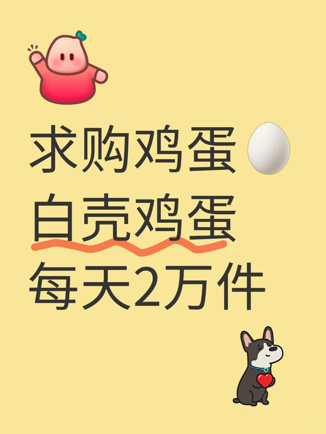 供应链公司求购鸡蛋啦！！