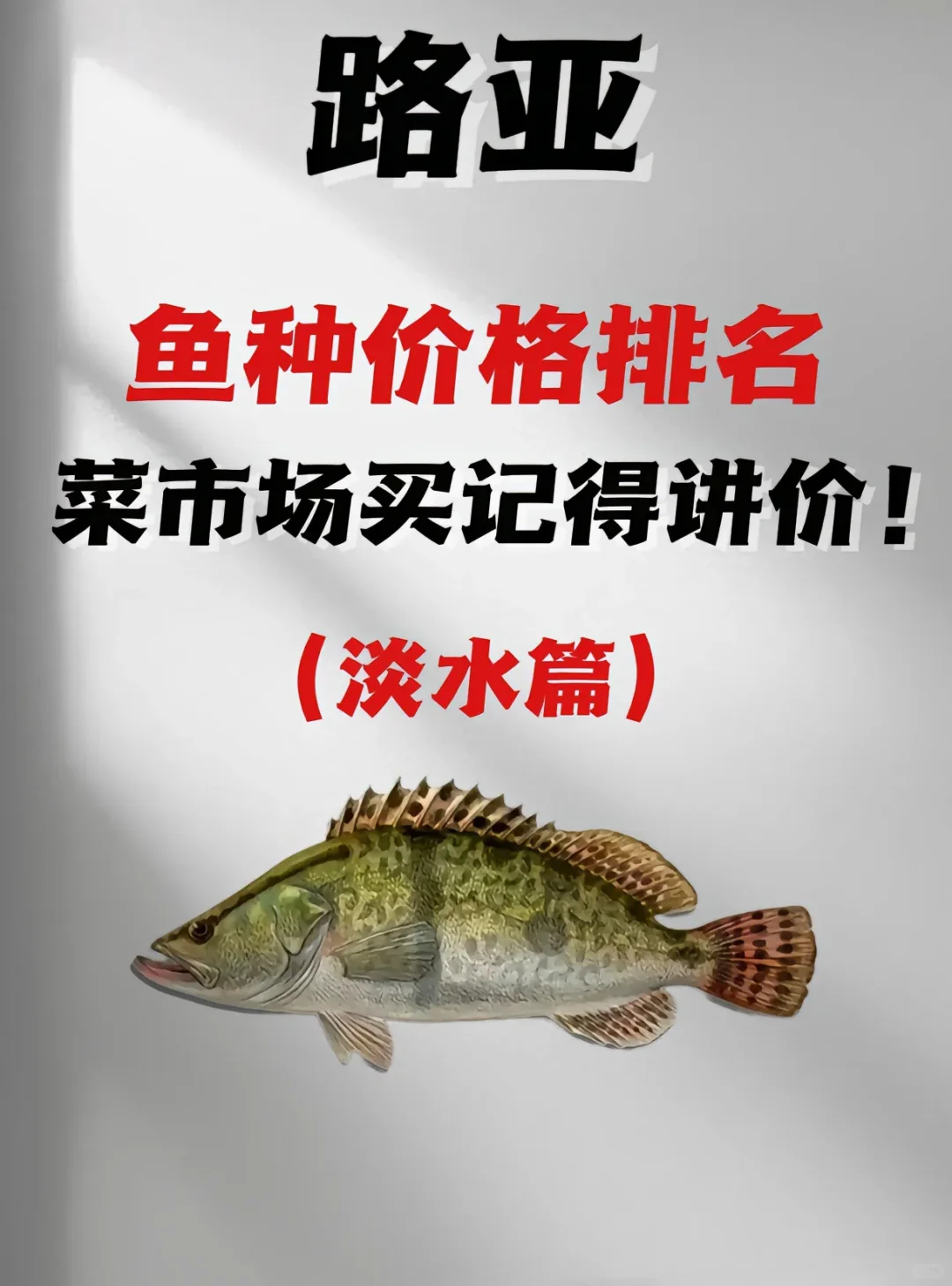 路亚鱼种价格排名，菜市场买得讲价！