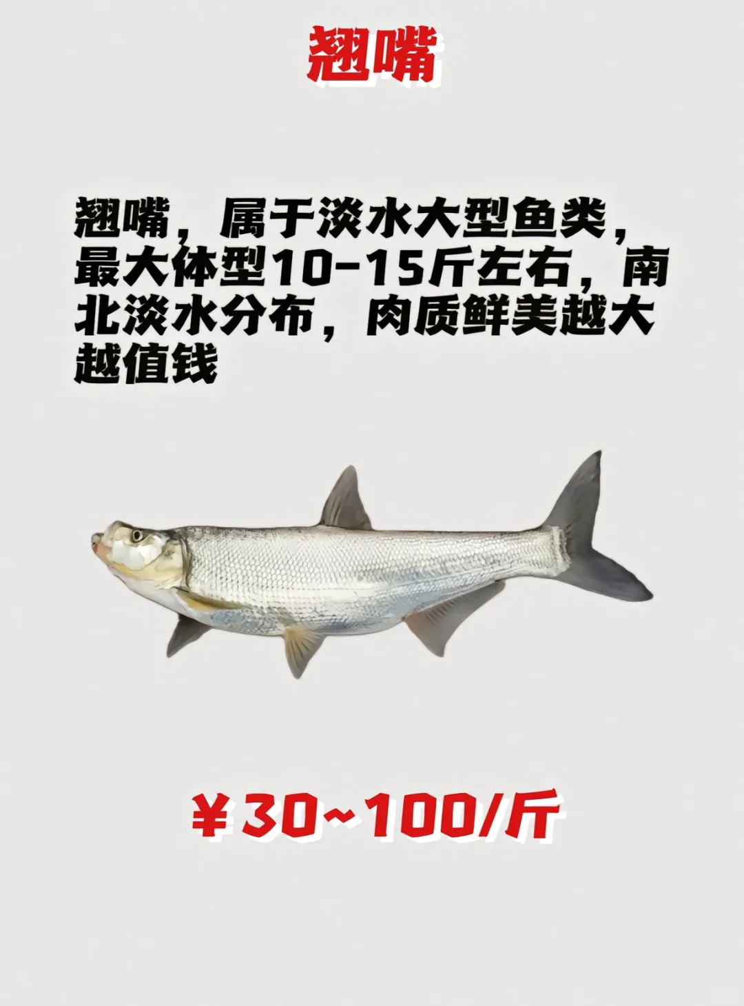 路亚鱼种价格排名，菜市场买得讲价！