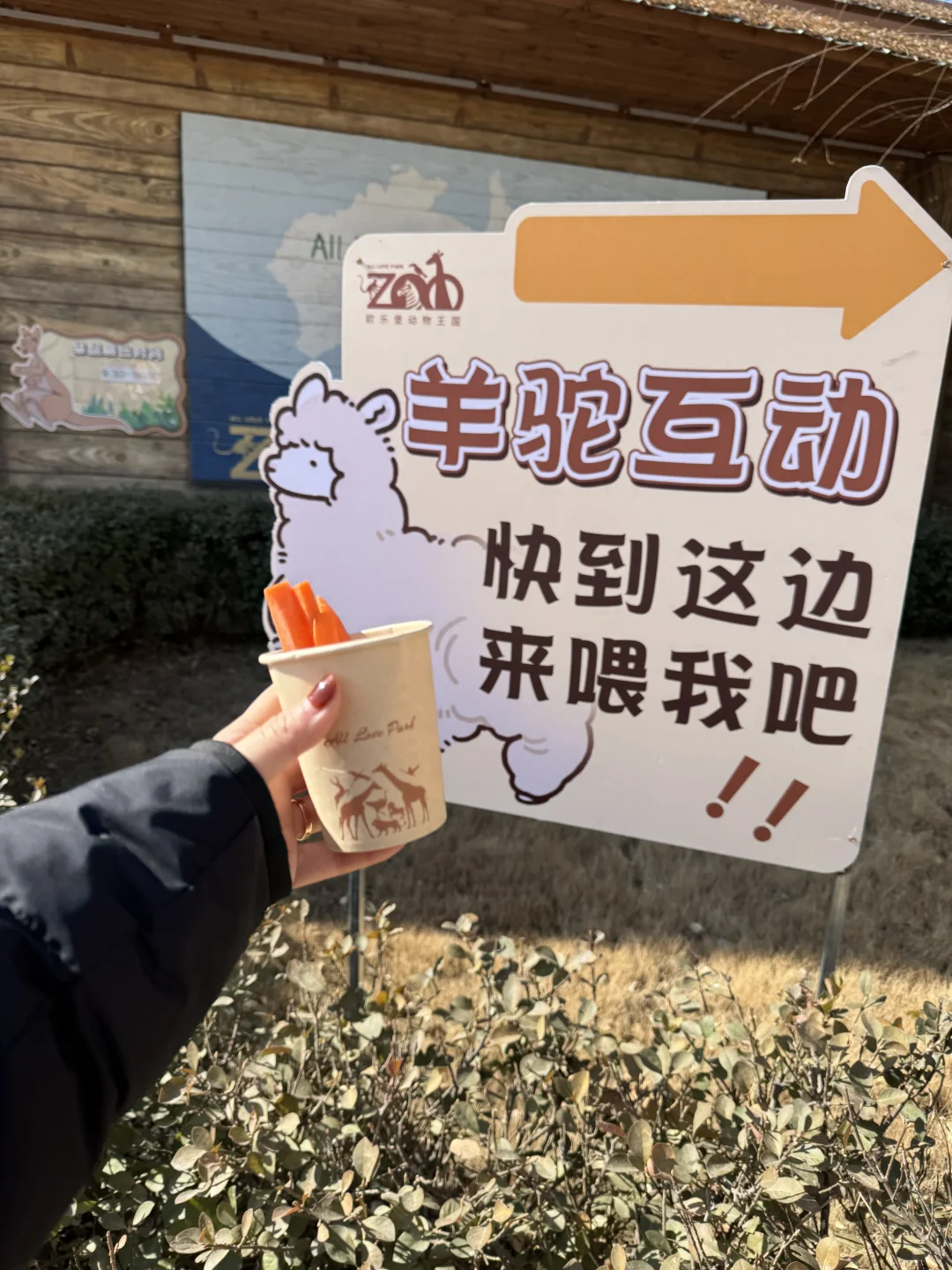 ͨͥɨ˰ŷֱһ쿪?