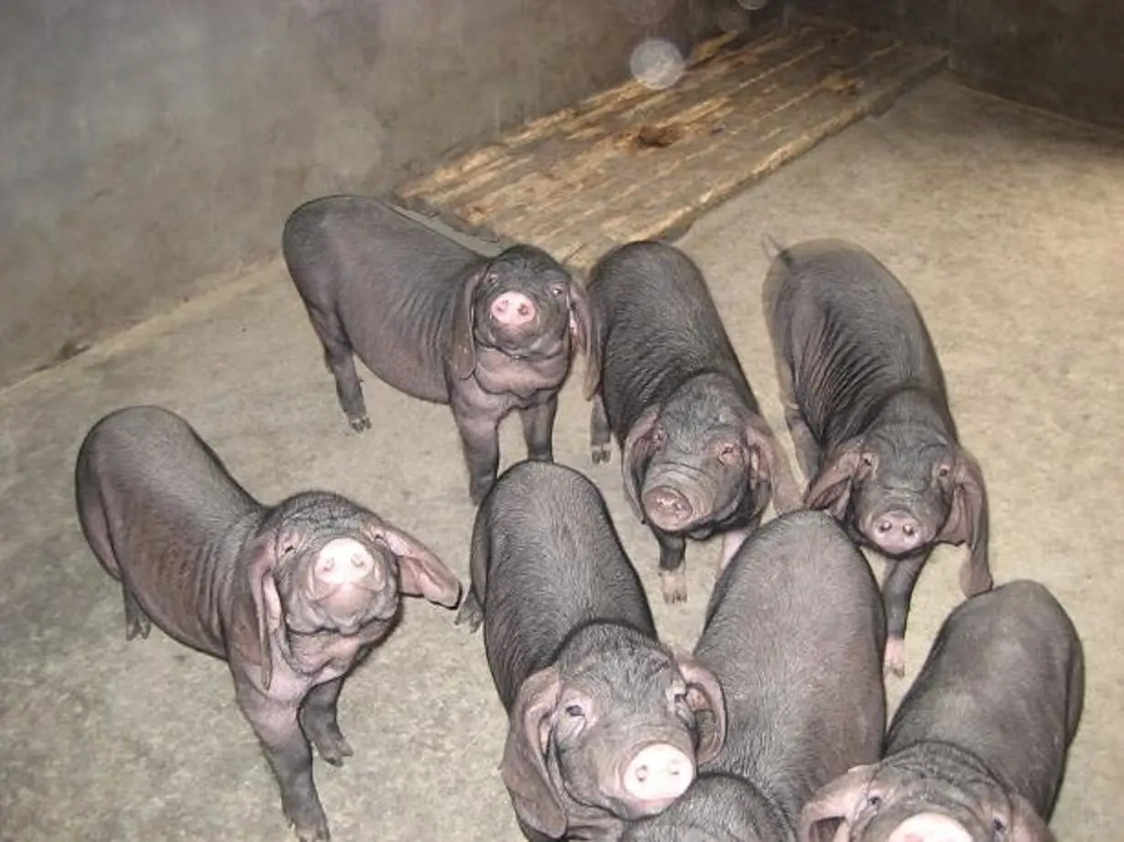 ۸